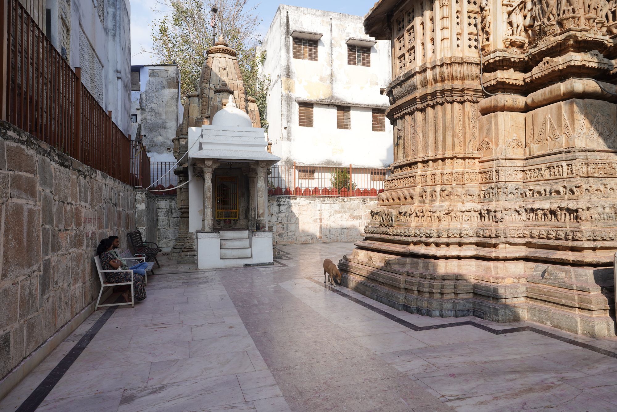 Udaipur City Walk and Jagdish Temple (25)