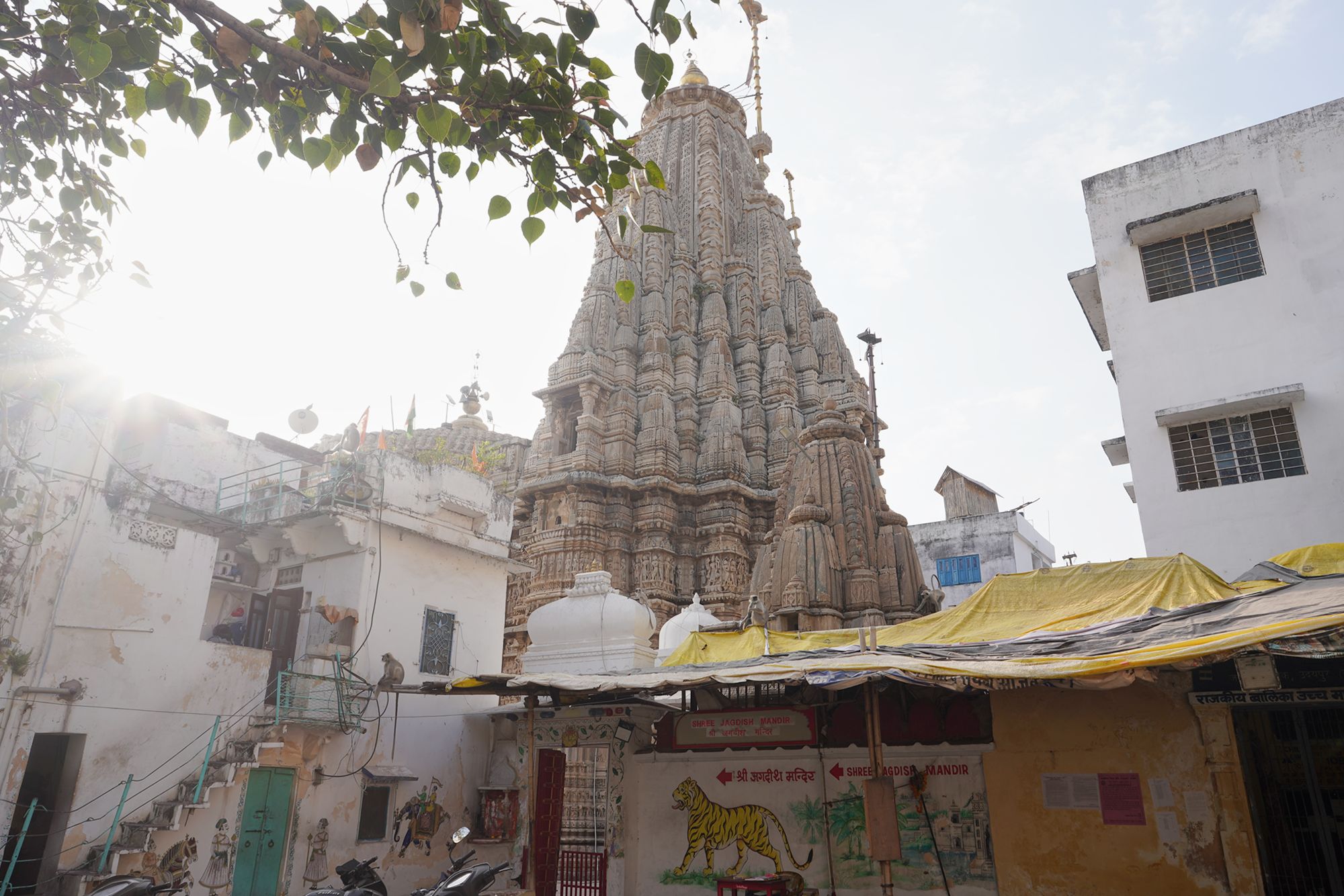 Udaipur City Walk and Jagdish Temple (3)