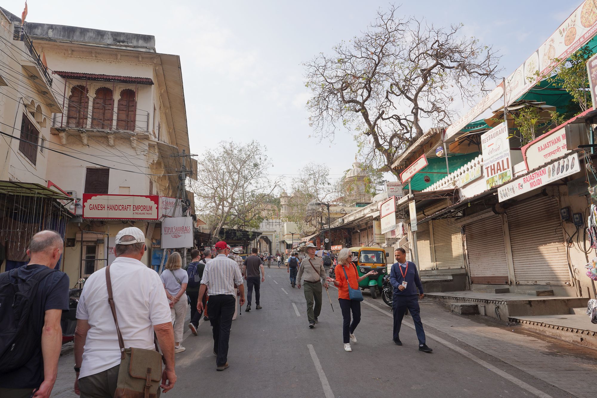 Udaipur City Walk and Jagdish Temple (37)