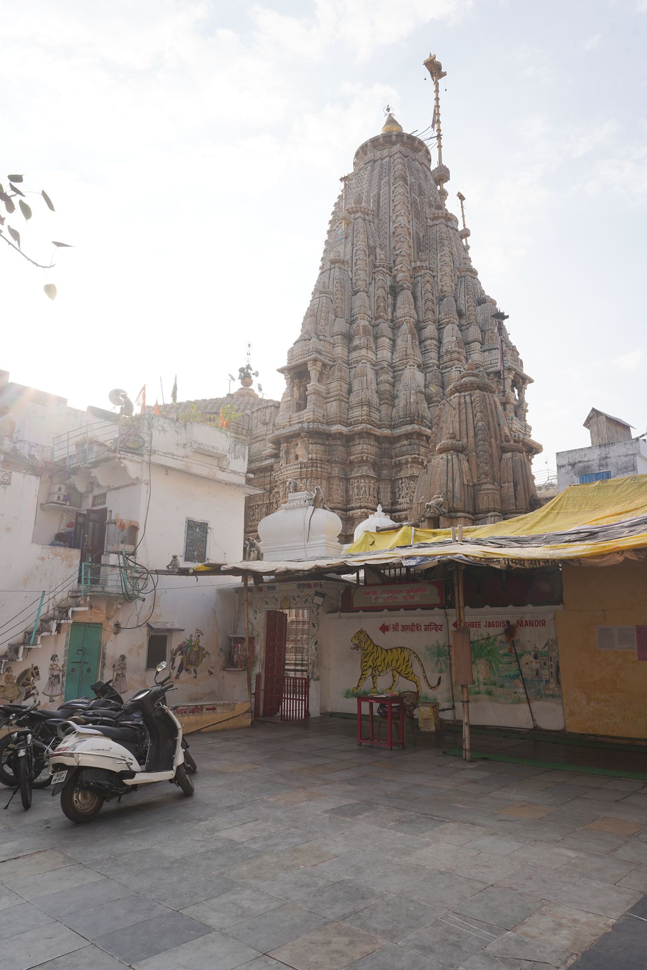 Udaipur City Walk and Jagdish Temple (4)