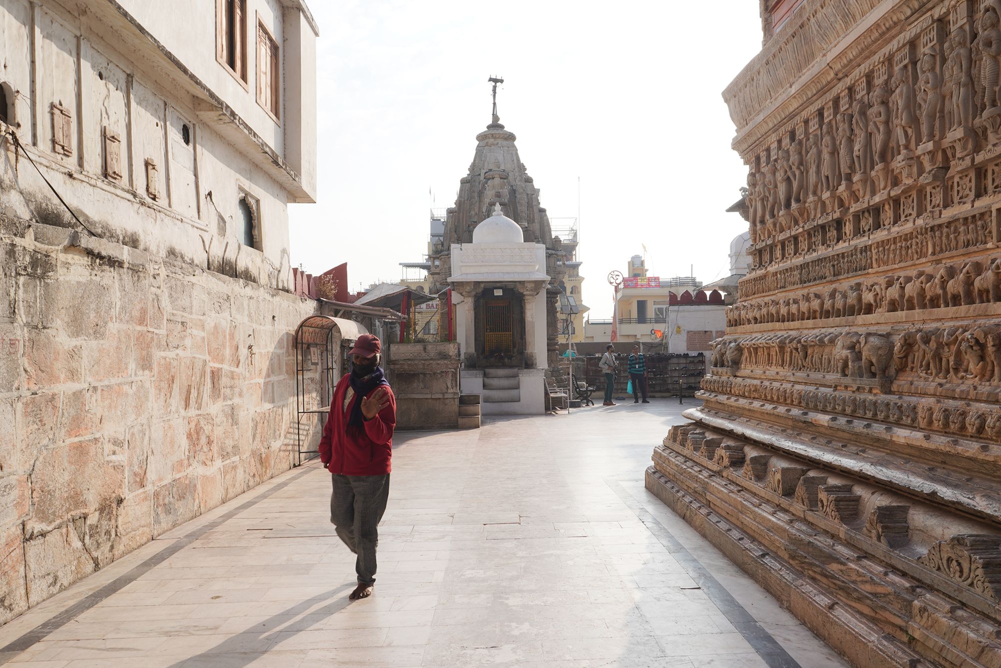 Udaipur City Walk and Jagdish Temple (6)