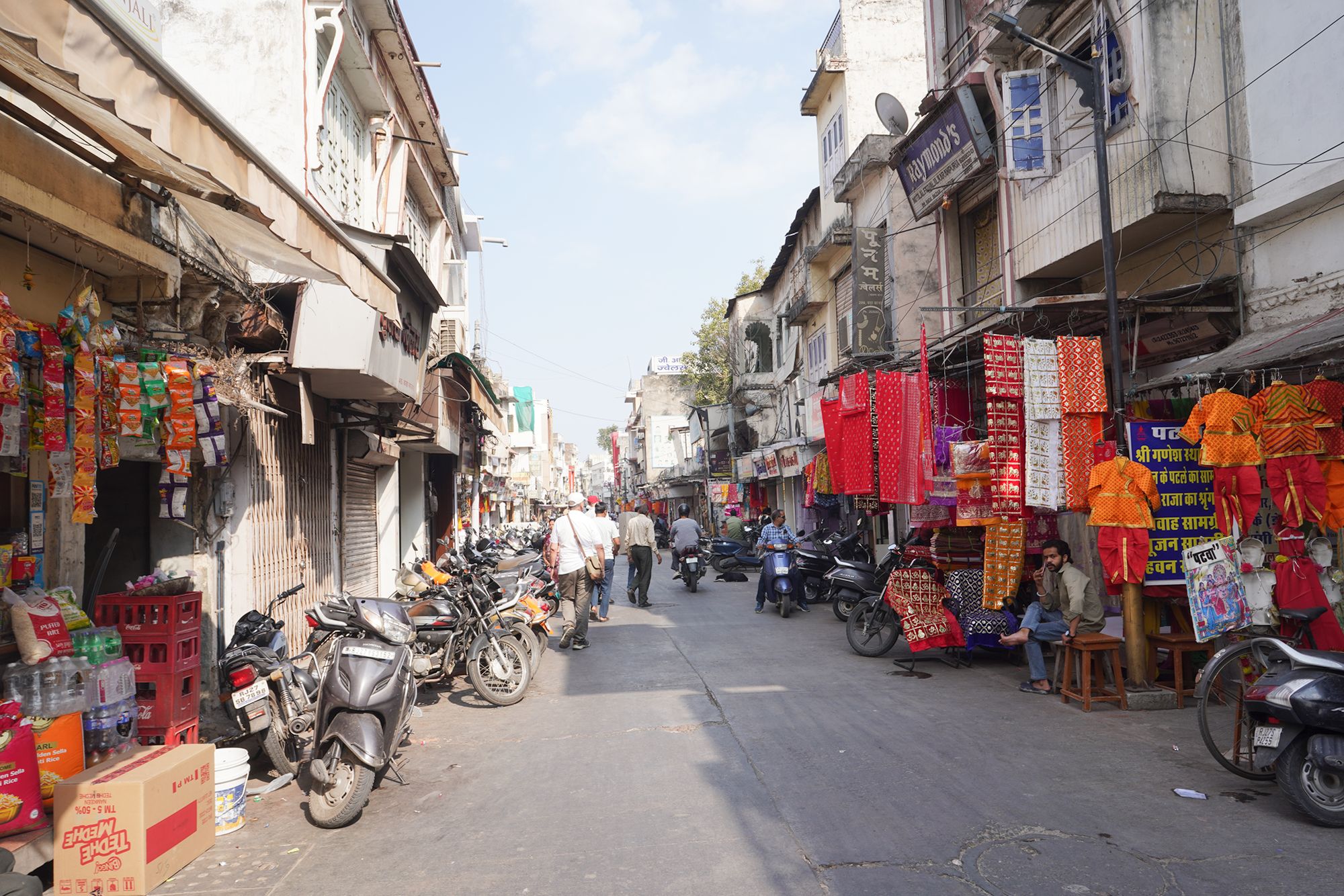 Udaipur City Walk and Jagdish Temple (80)
