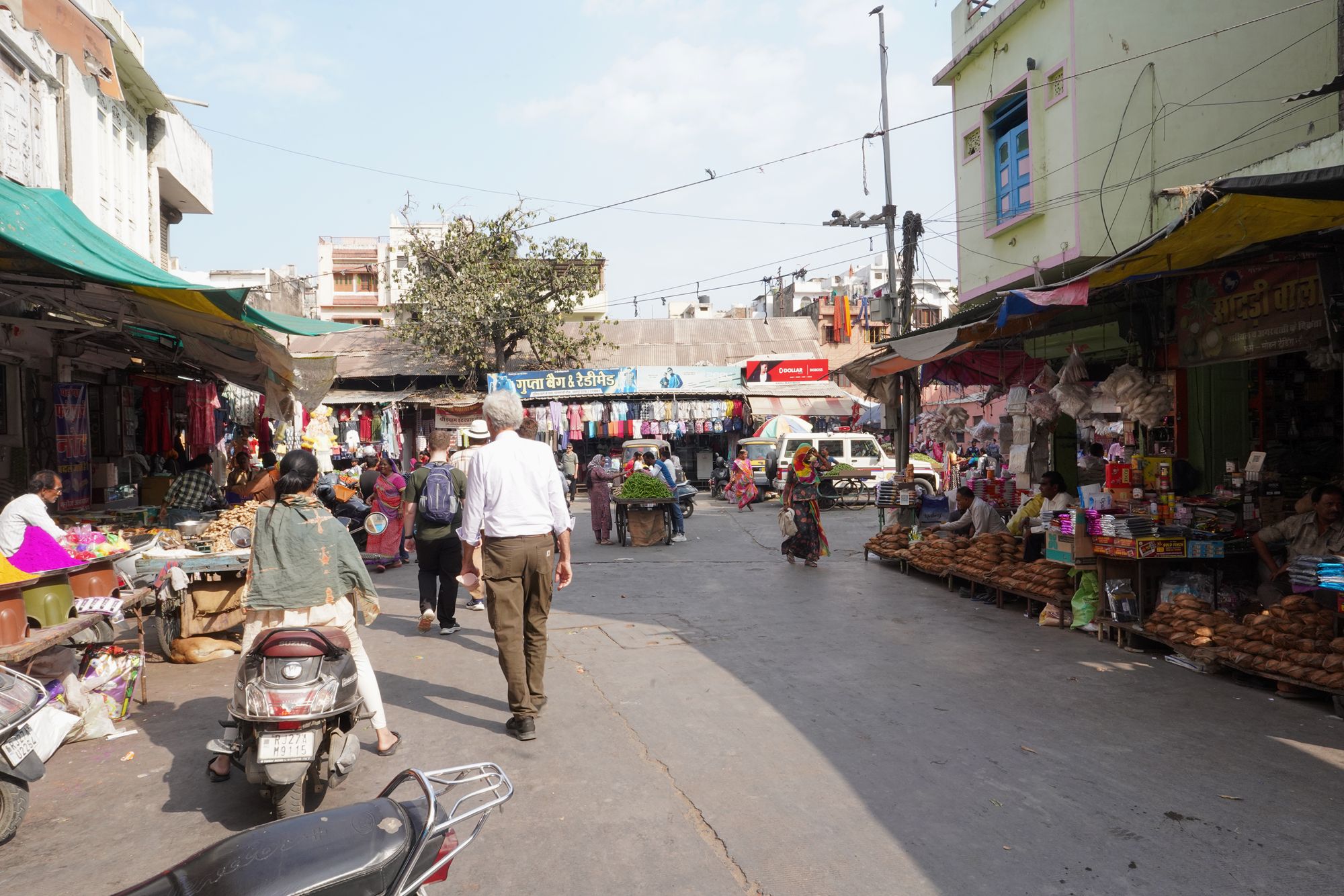Udaipur City Walk and Jagdish Temple (84)