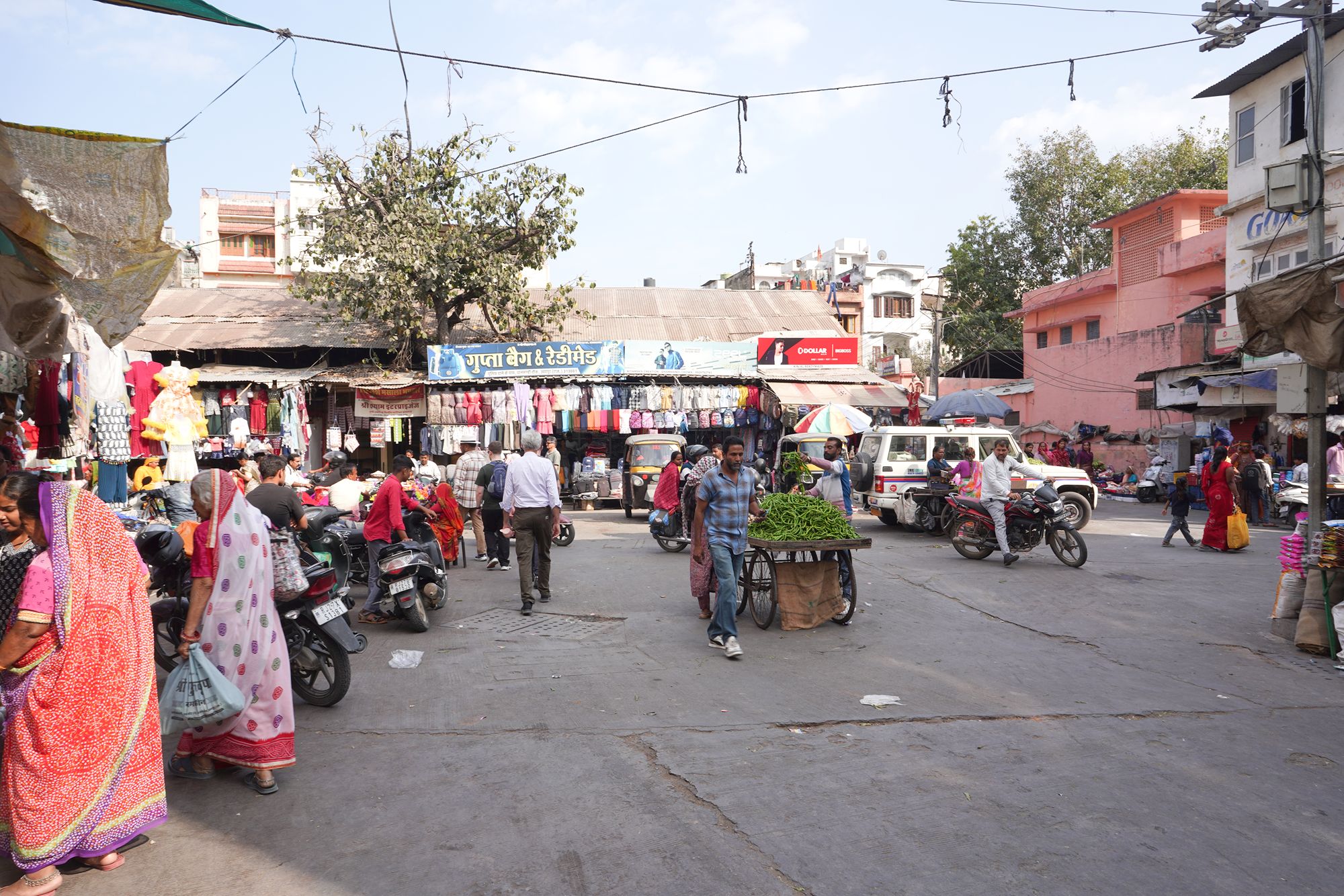 Udaipur City Walk and Jagdish Temple (85)