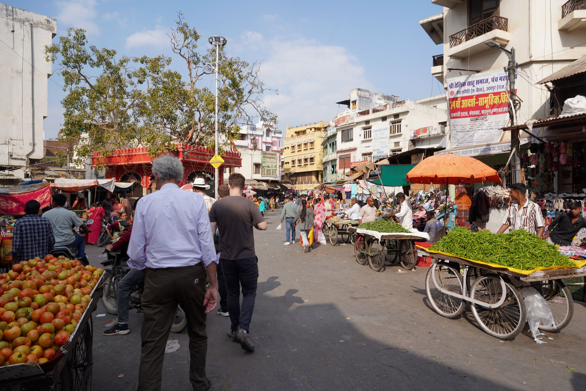 Udaipur City Walk and Jagdish Temple (86)