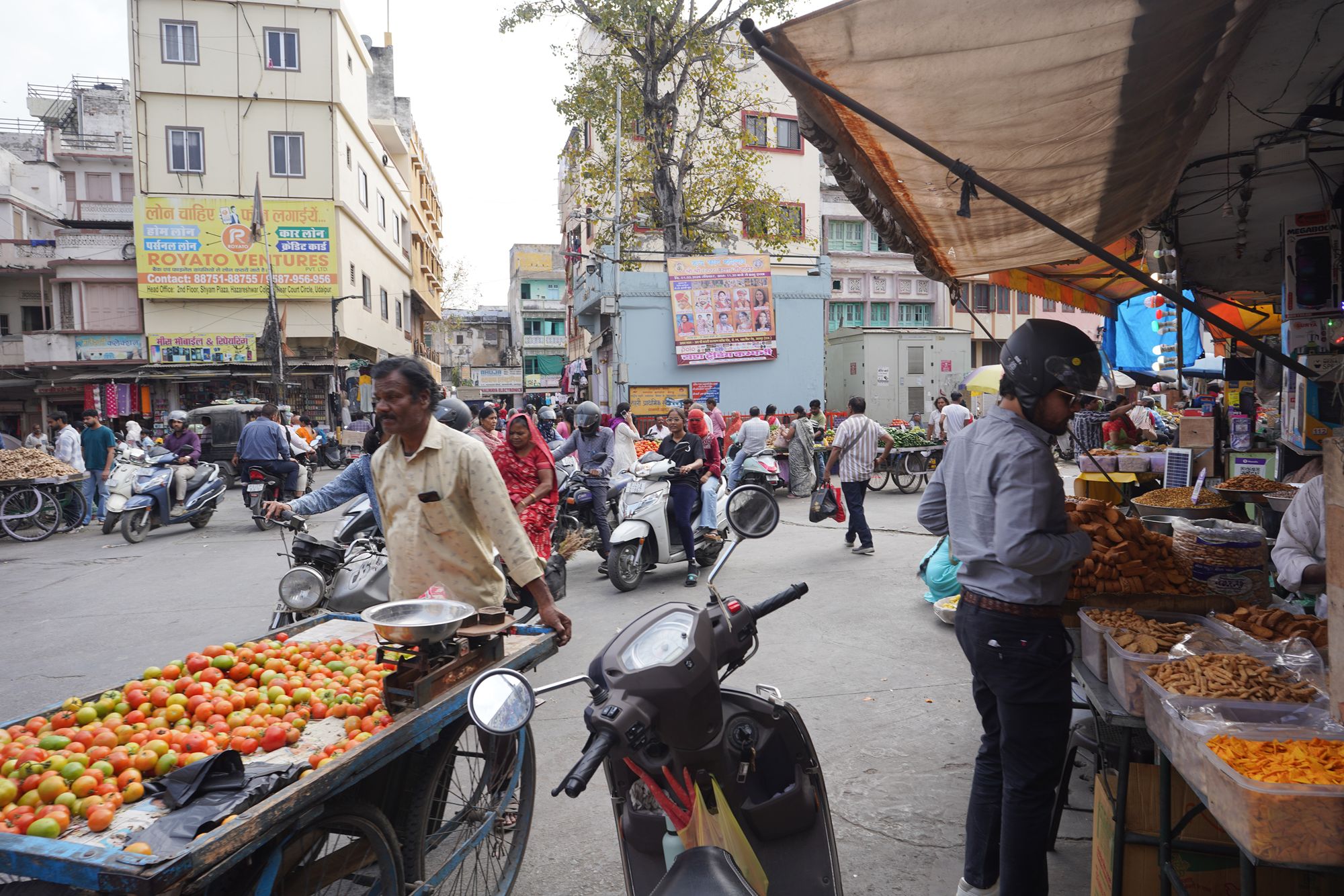 Udaipur City Walk and Jagdish Temple (92)