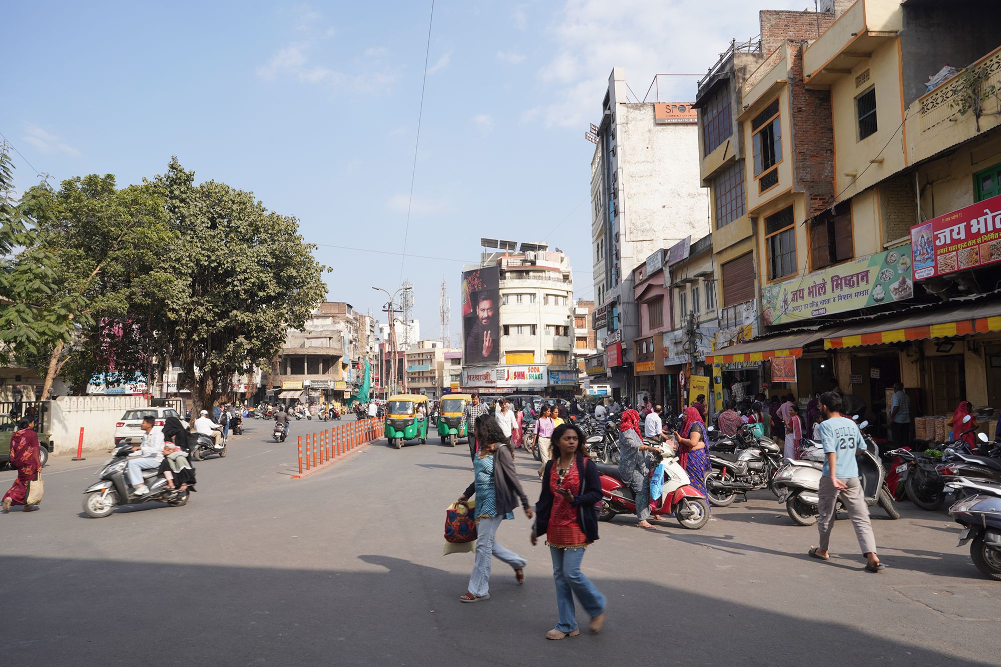 Udaipur City Walk and Jagdish Temple (93)