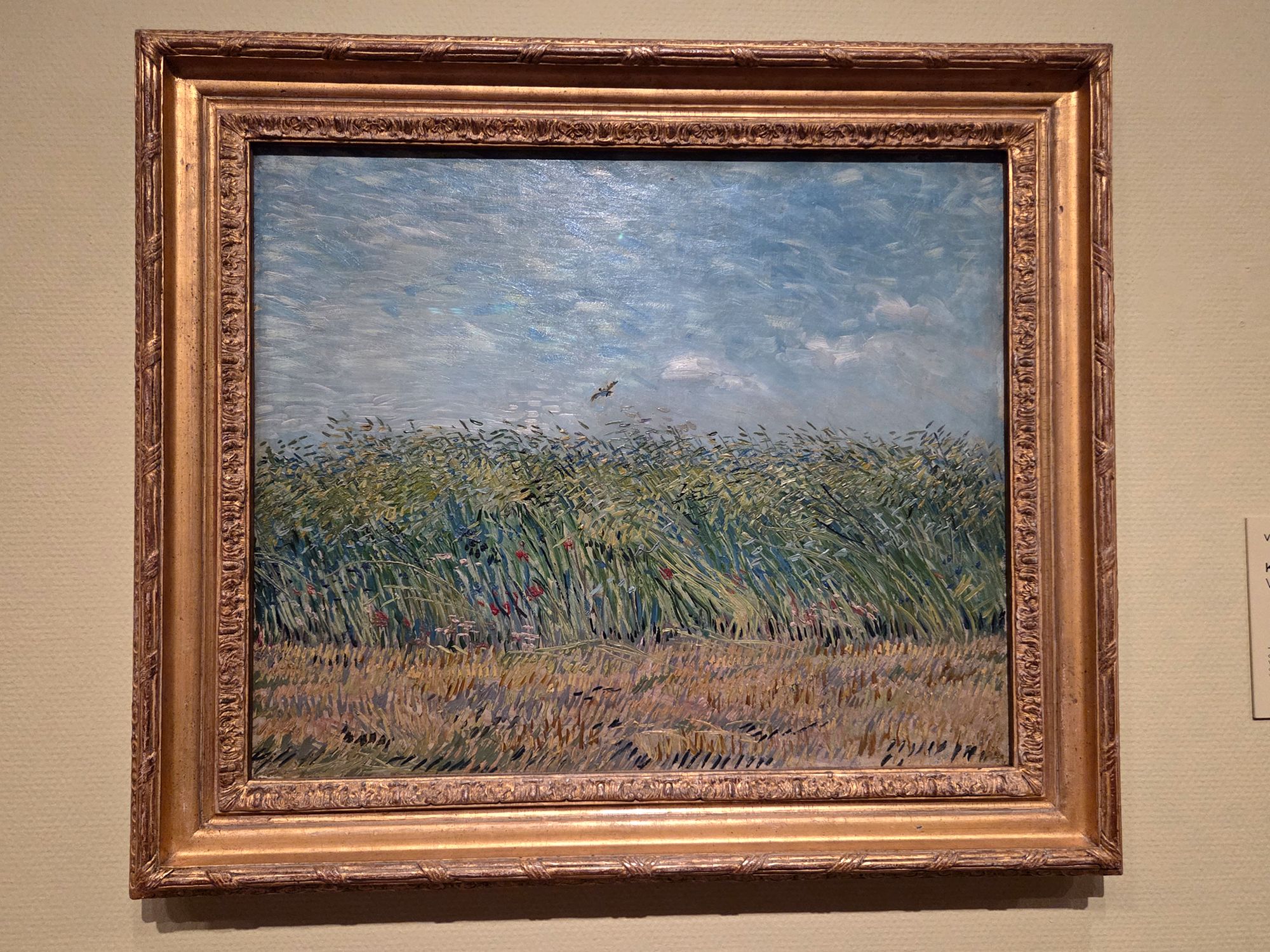Van Gogh Museum I (117) Van Gogh Museum I (117)