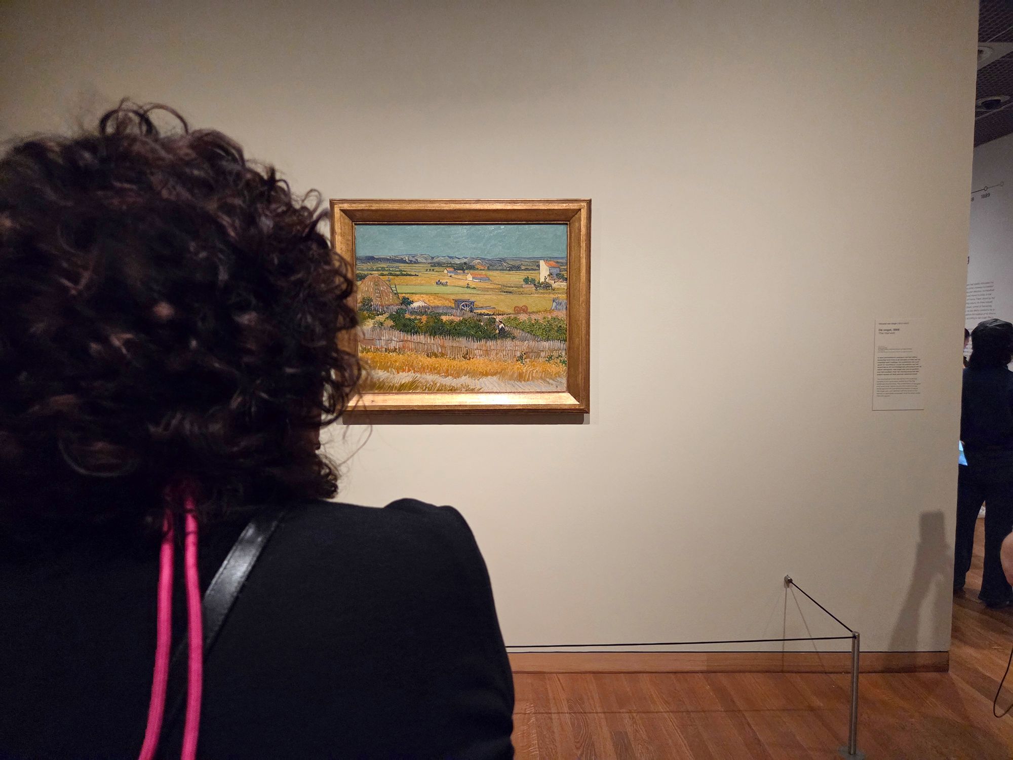 Van Gogh Museum I (171) Van Gogh Museum I (171)