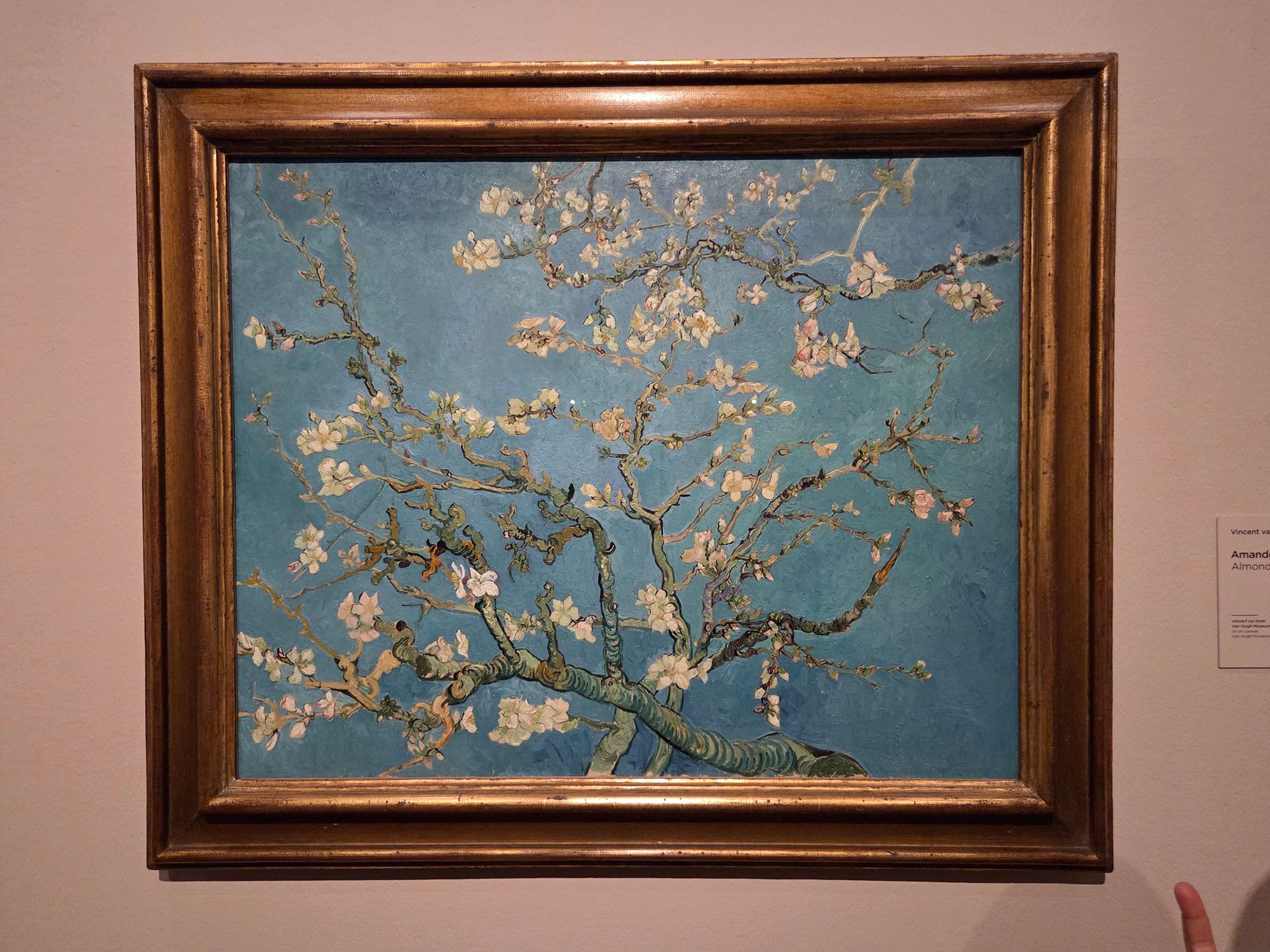 Van Gogh Museum II (177) Van Gogh Museum II (177)