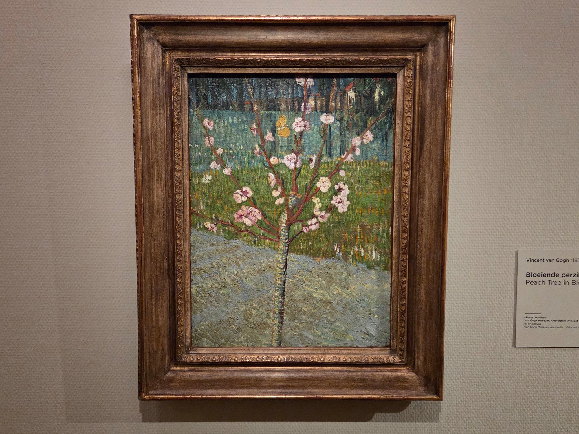 Van Gogh Museum II (65) Van Gogh Museum II (65)