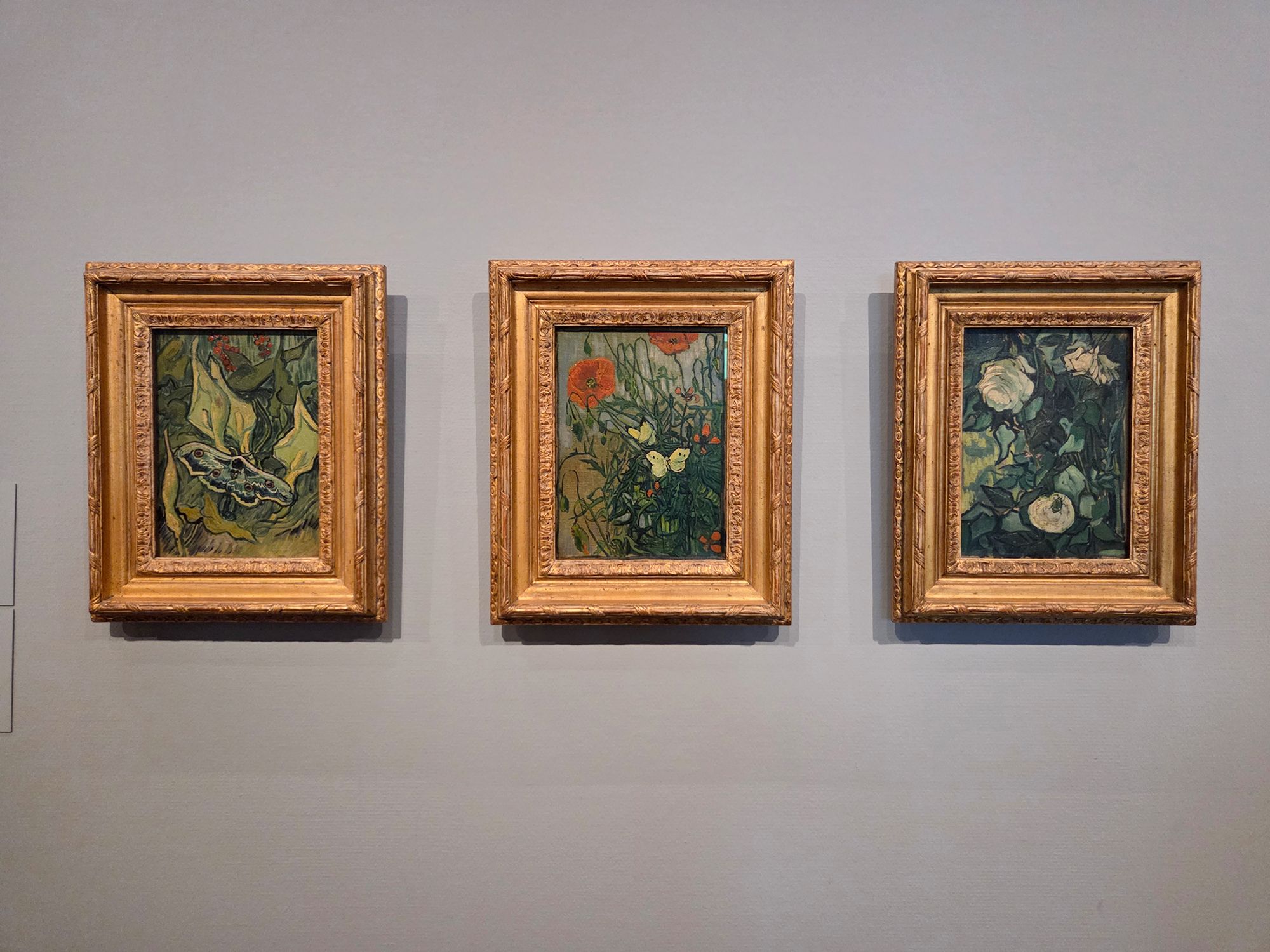 Van Gogh Museum II (85) Van Gogh Museum II (85)