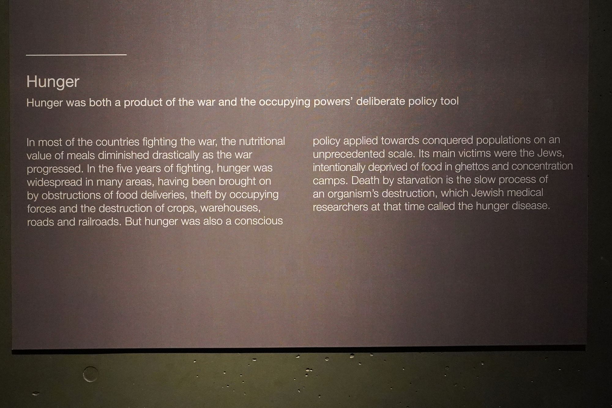 WWII Museum I (165)