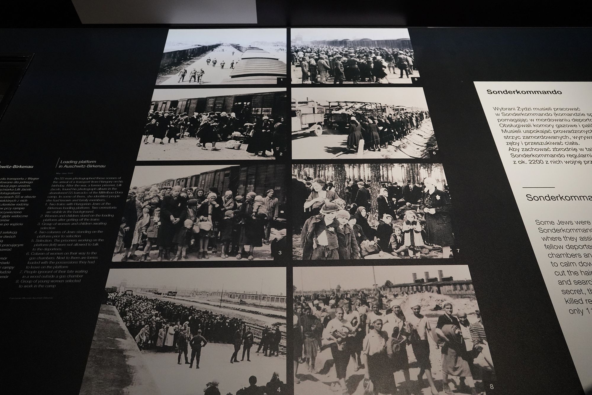 WWII Museum II (116)