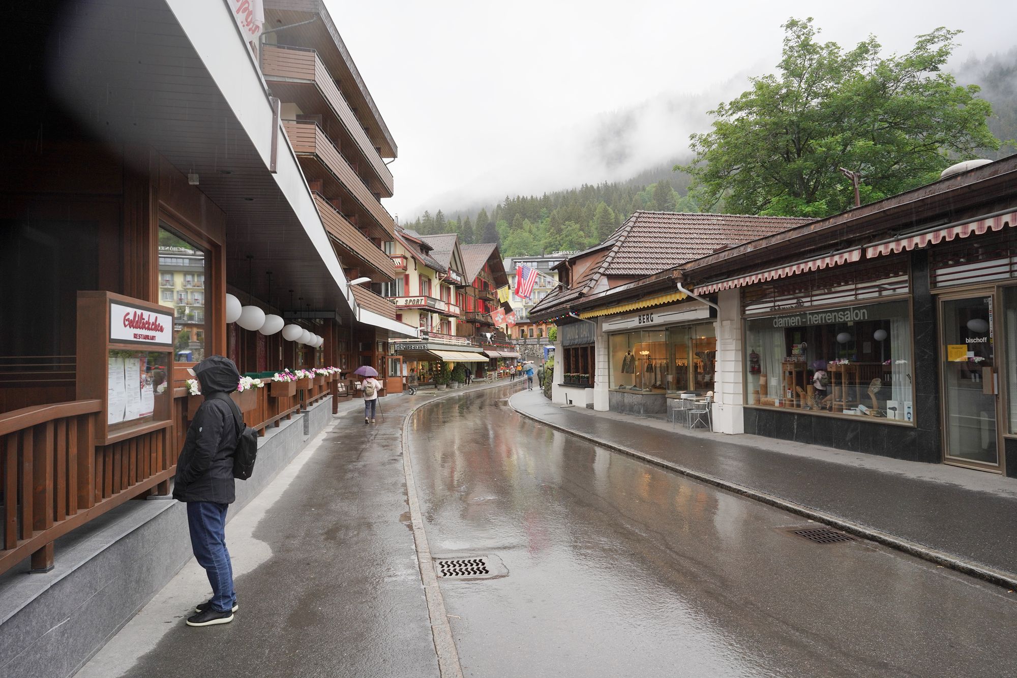 Wengen Walk (15) Wengen Walk (15)
