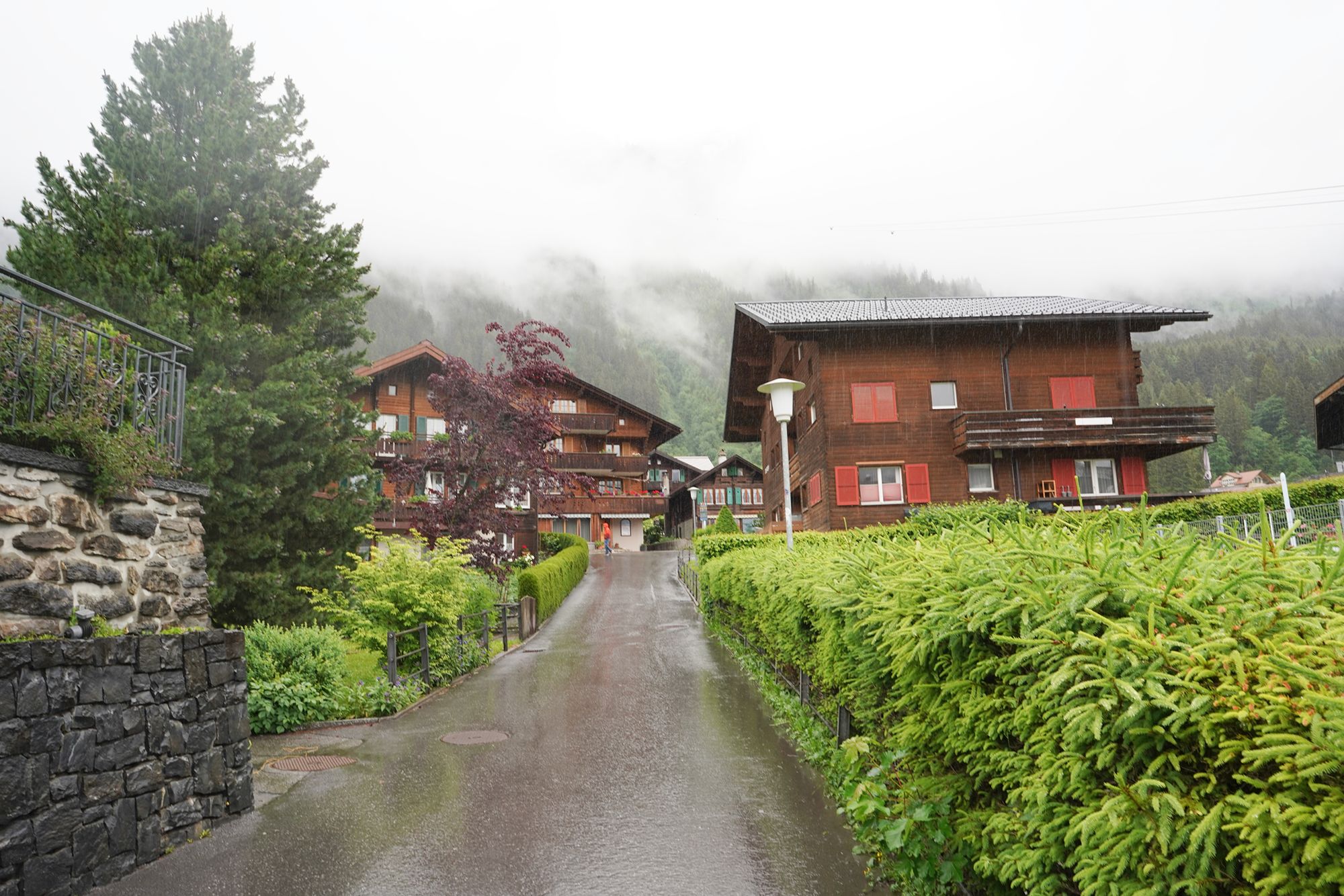 Wengen Walk (26) Wengen Walk (26)