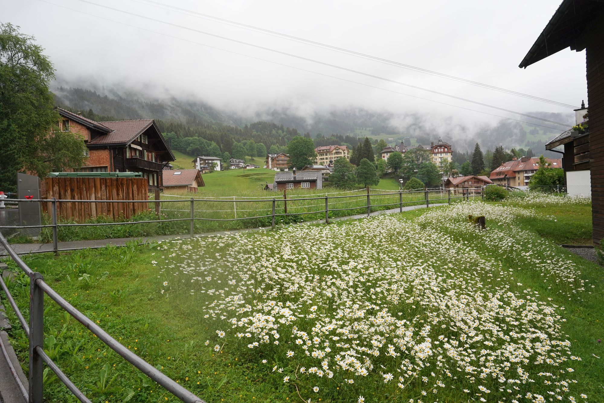 Wengen Walk (29) Wengen Walk (29)