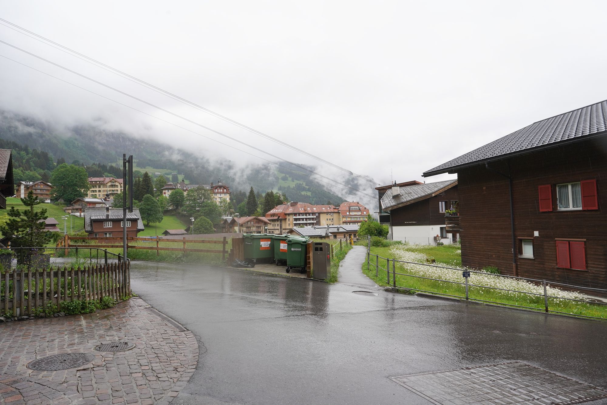 Wengen Walk (36) Wengen Walk (36)