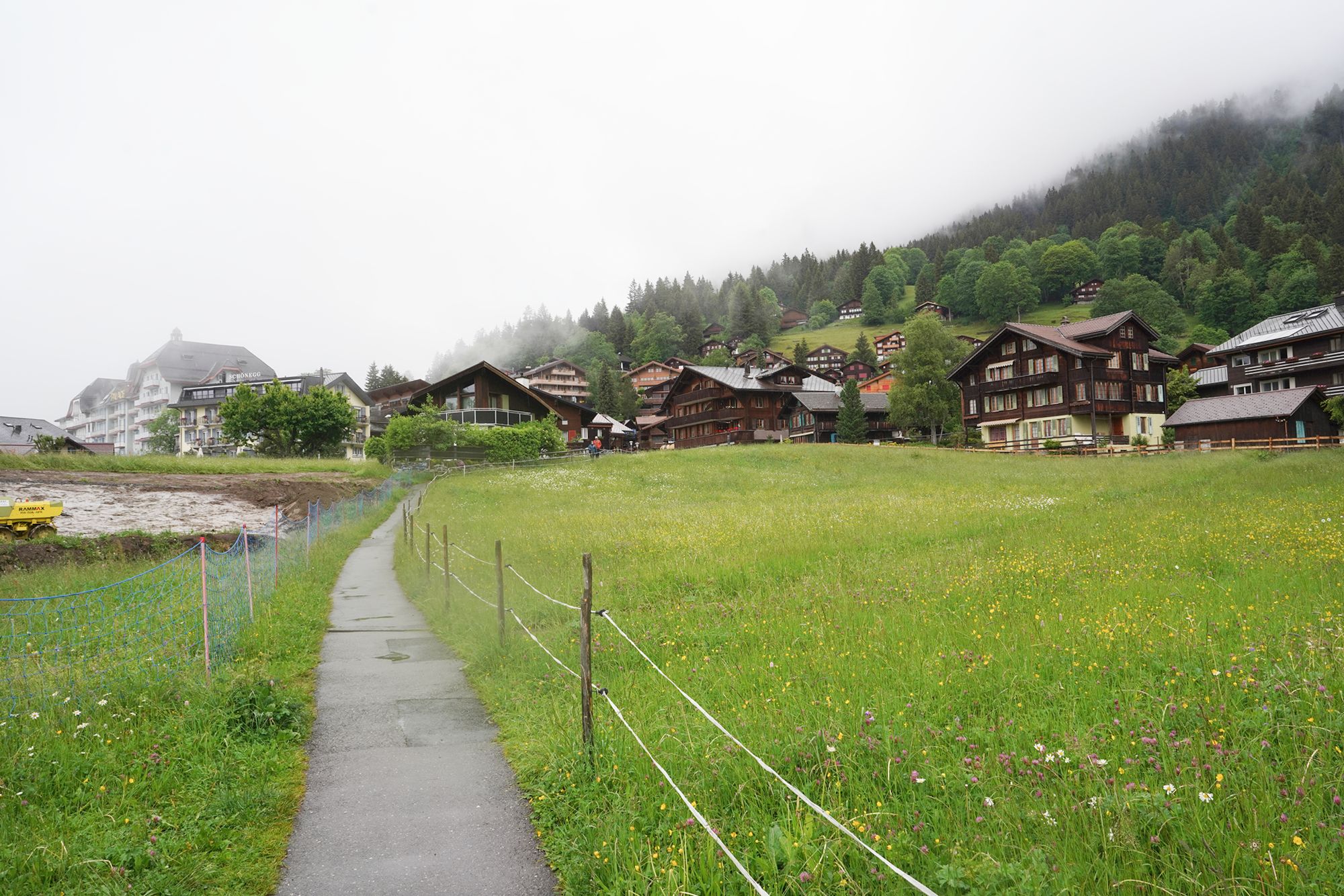 Wengen Walk (45) Wengen Walk (45)