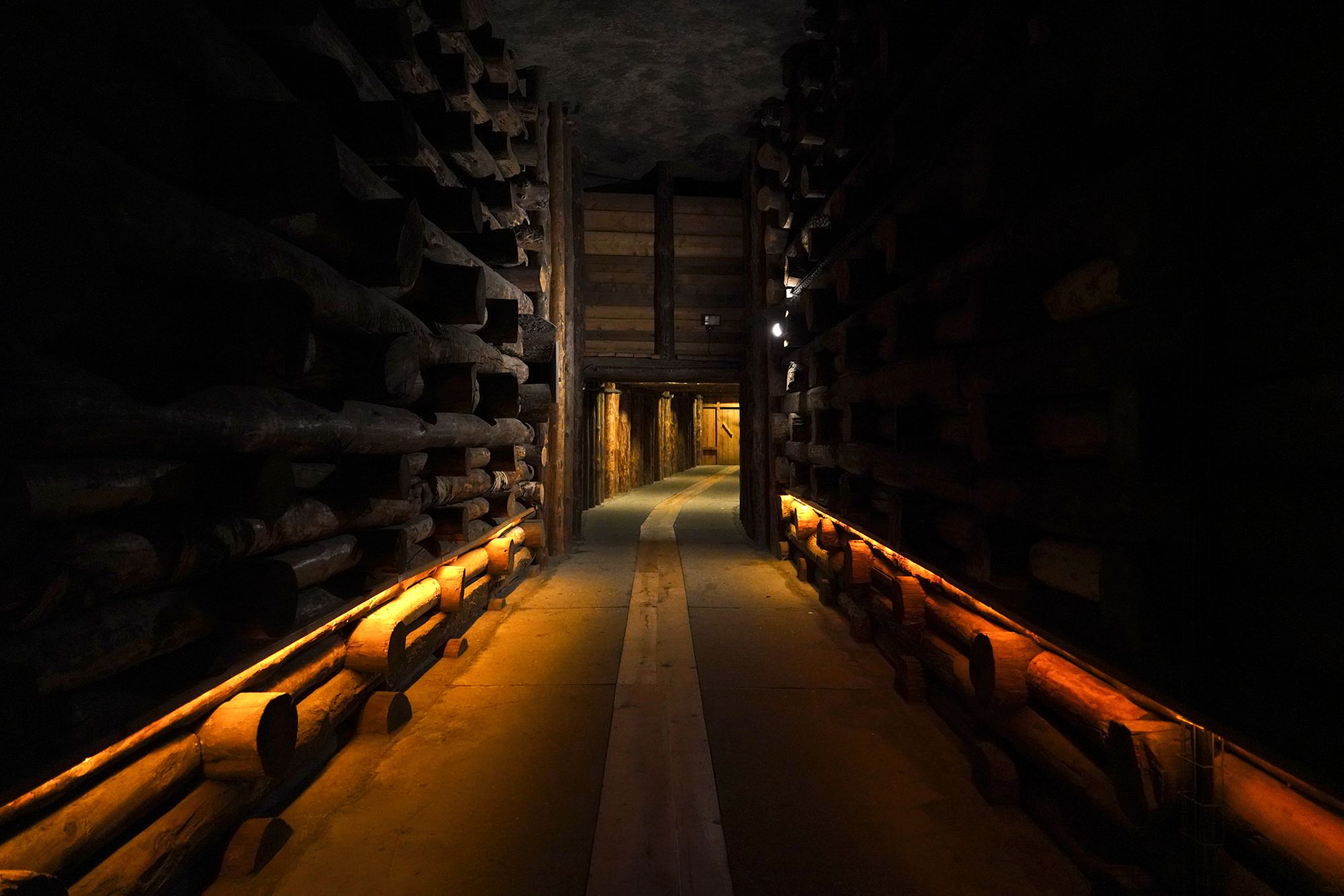 Wieliczka Salt Mine (11)