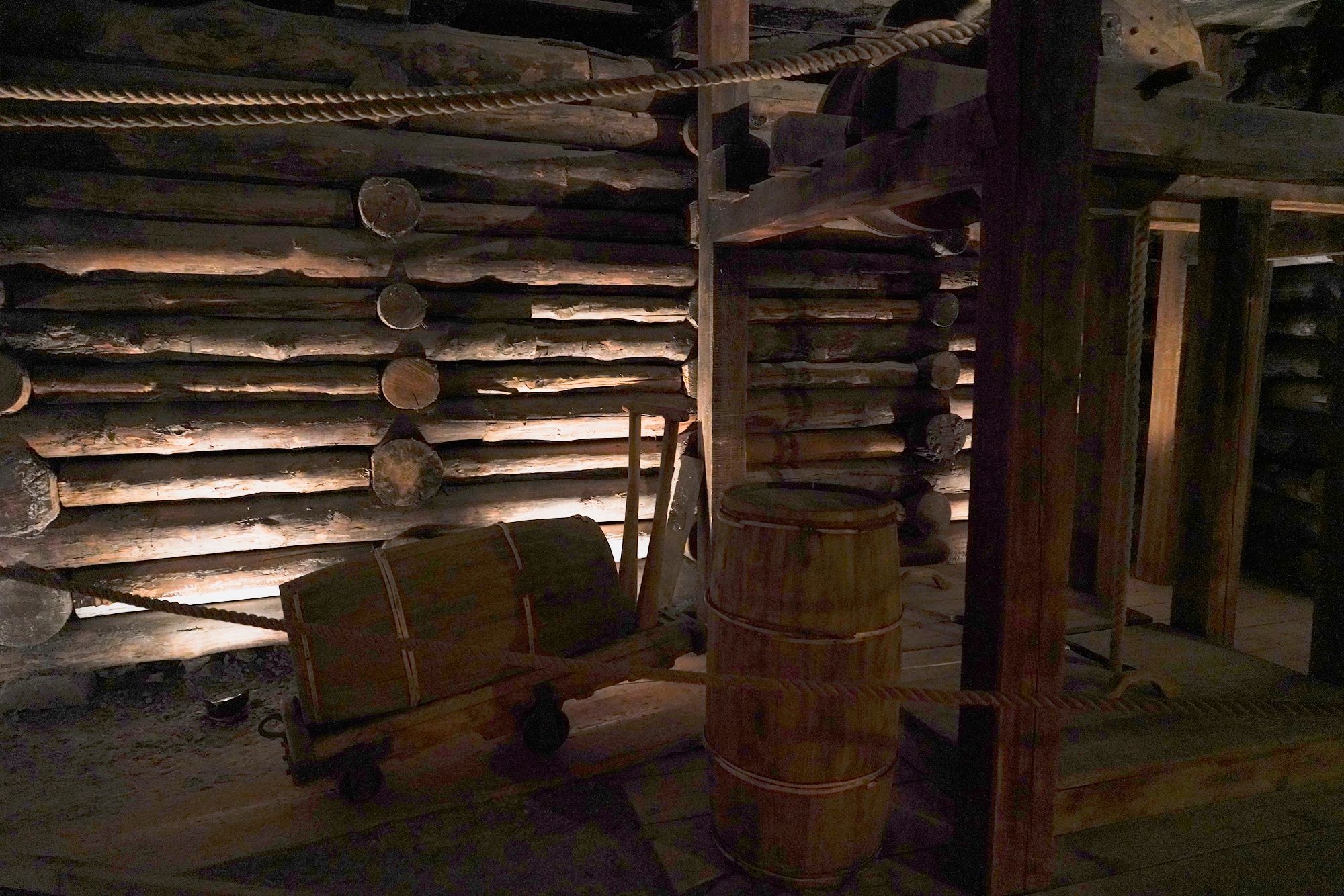 Wieliczka Salt Mine (12)