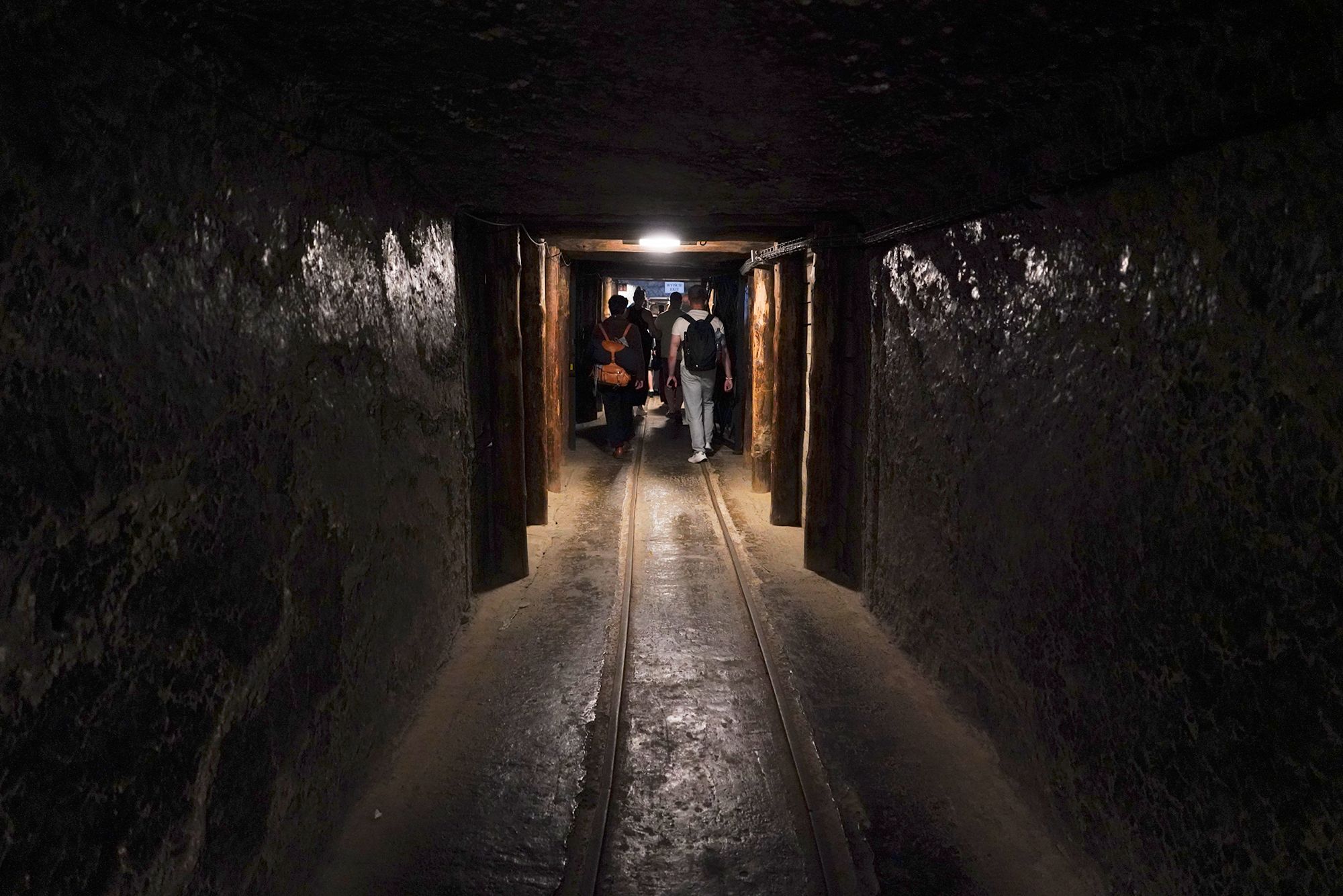 Wieliczka Salt Mine (137)