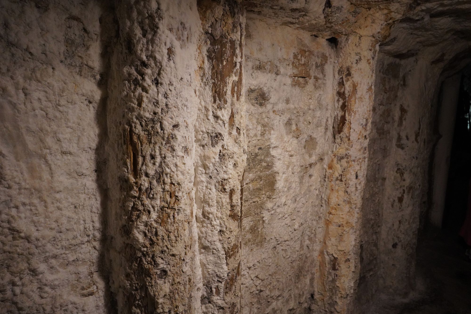 Wieliczka Salt Mine (41)