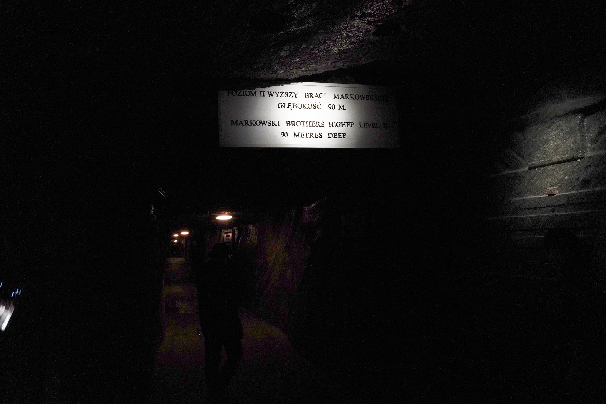 Wieliczka Salt Mine (59)