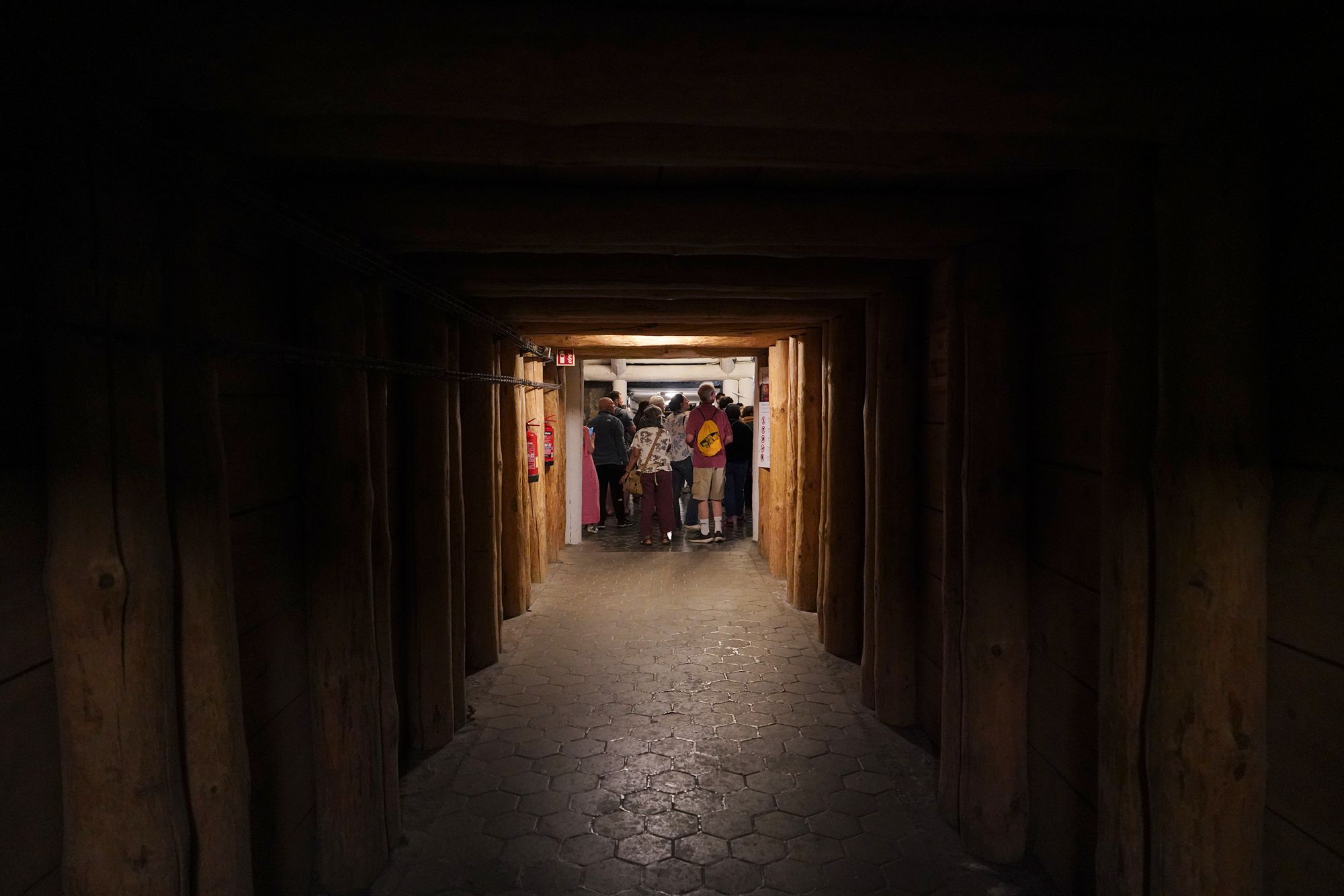 Wieliczka Salt Mine (68)