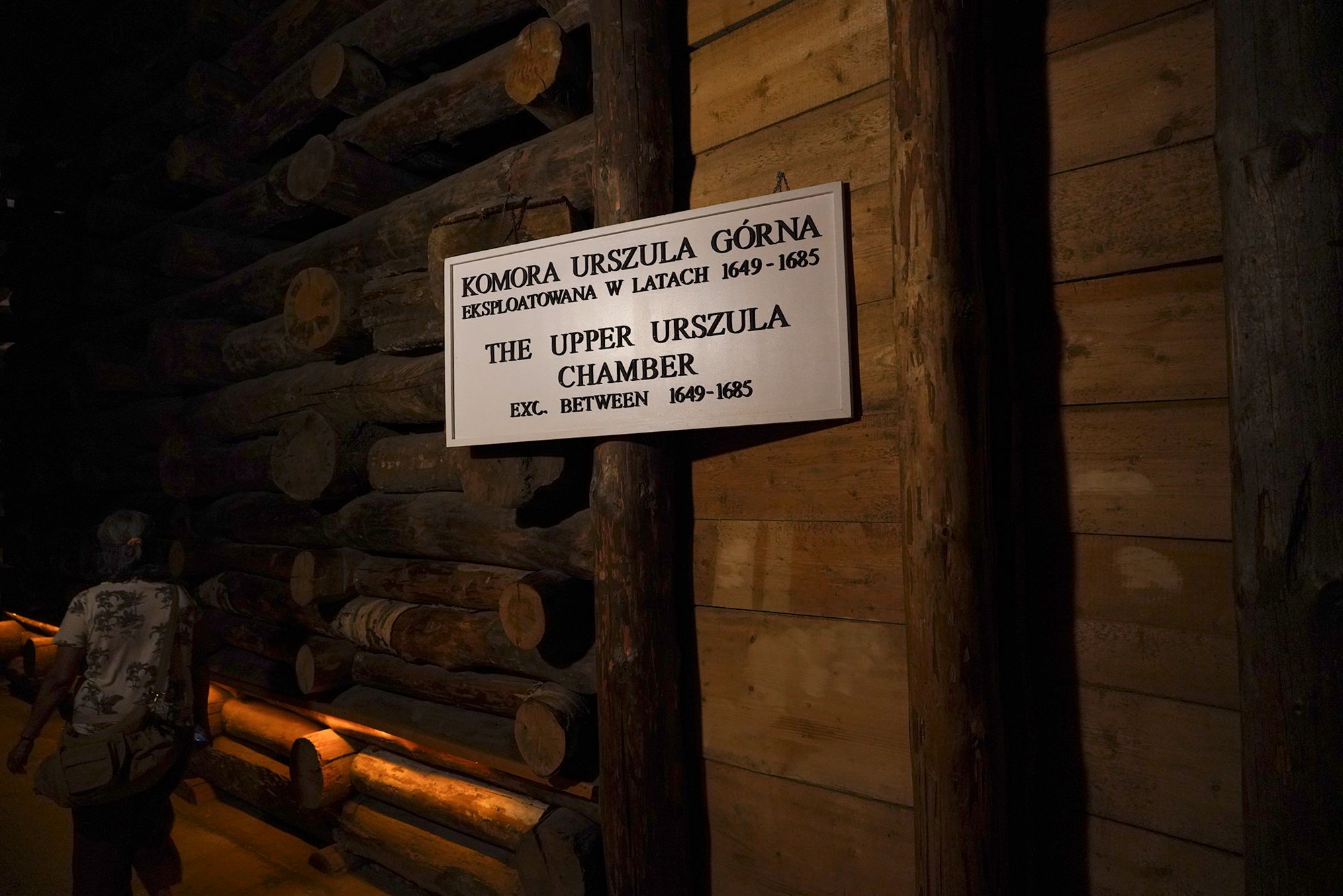 Wieliczka Salt Mine (8)