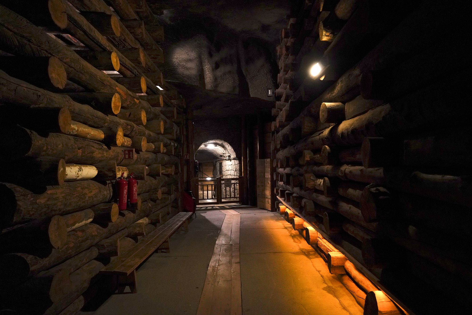 Wieliczka Salt Mine (9)