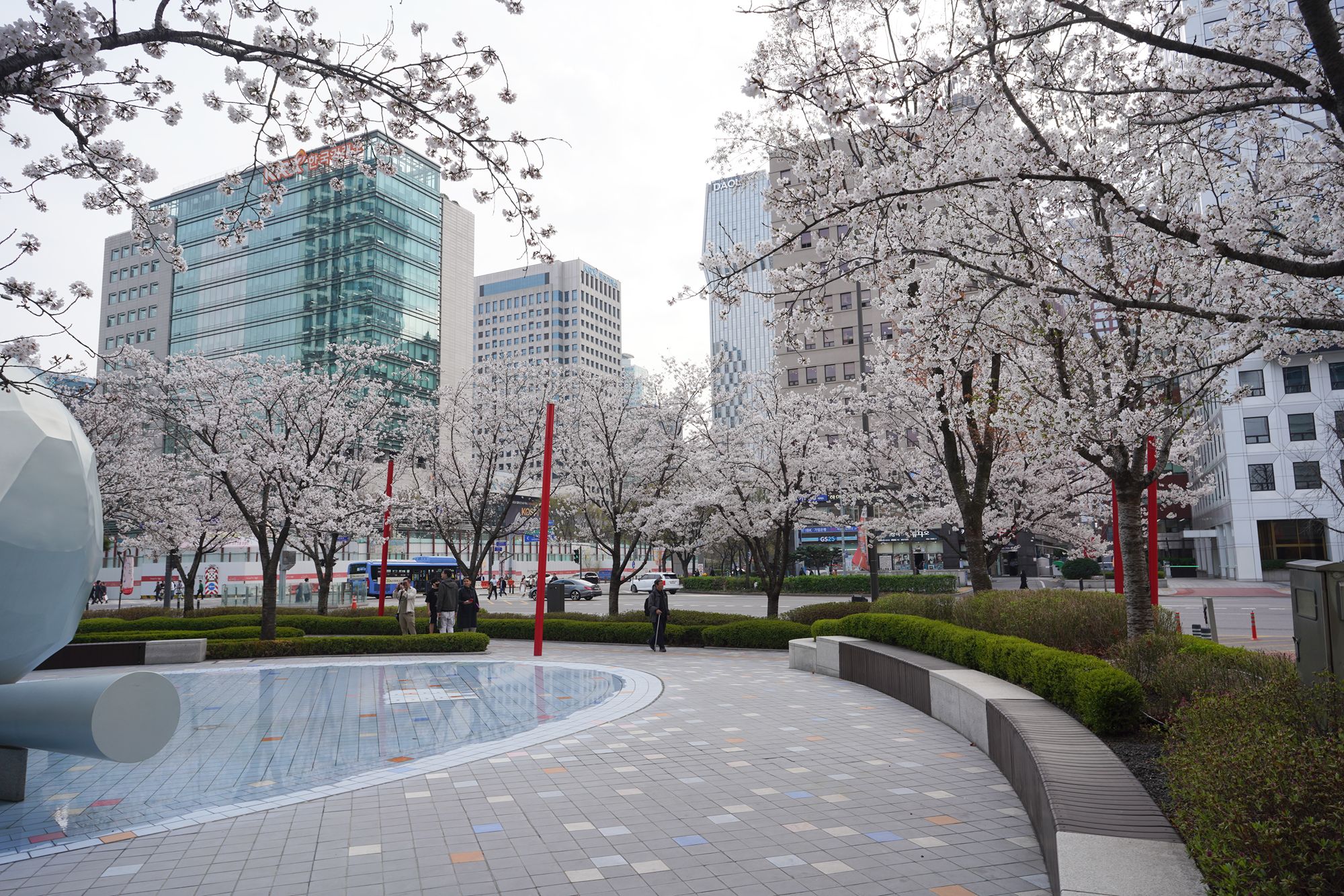 Yeouido Cherry Blossoms (101) Yeouido Cherry Blossoms (101)