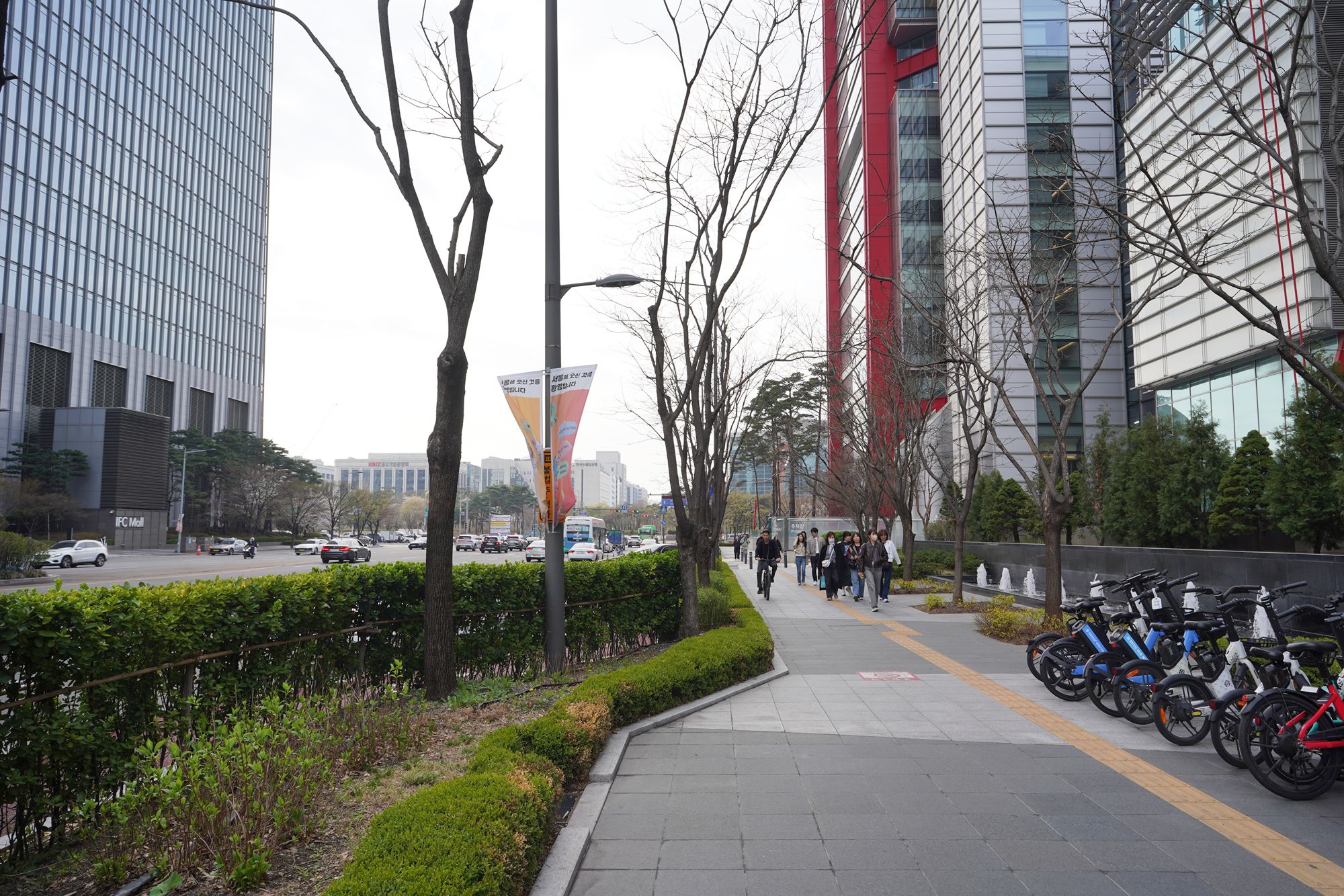 Yeouido Cherry Blossoms (103) Yeouido Cherry Blossoms (103)