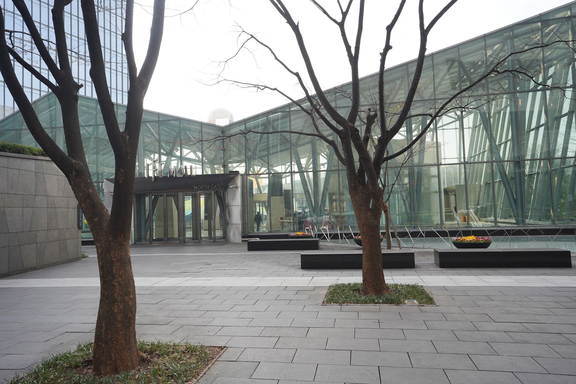 Yeouido Cherry Blossoms (107) Yeouido Cherry Blossoms (107)