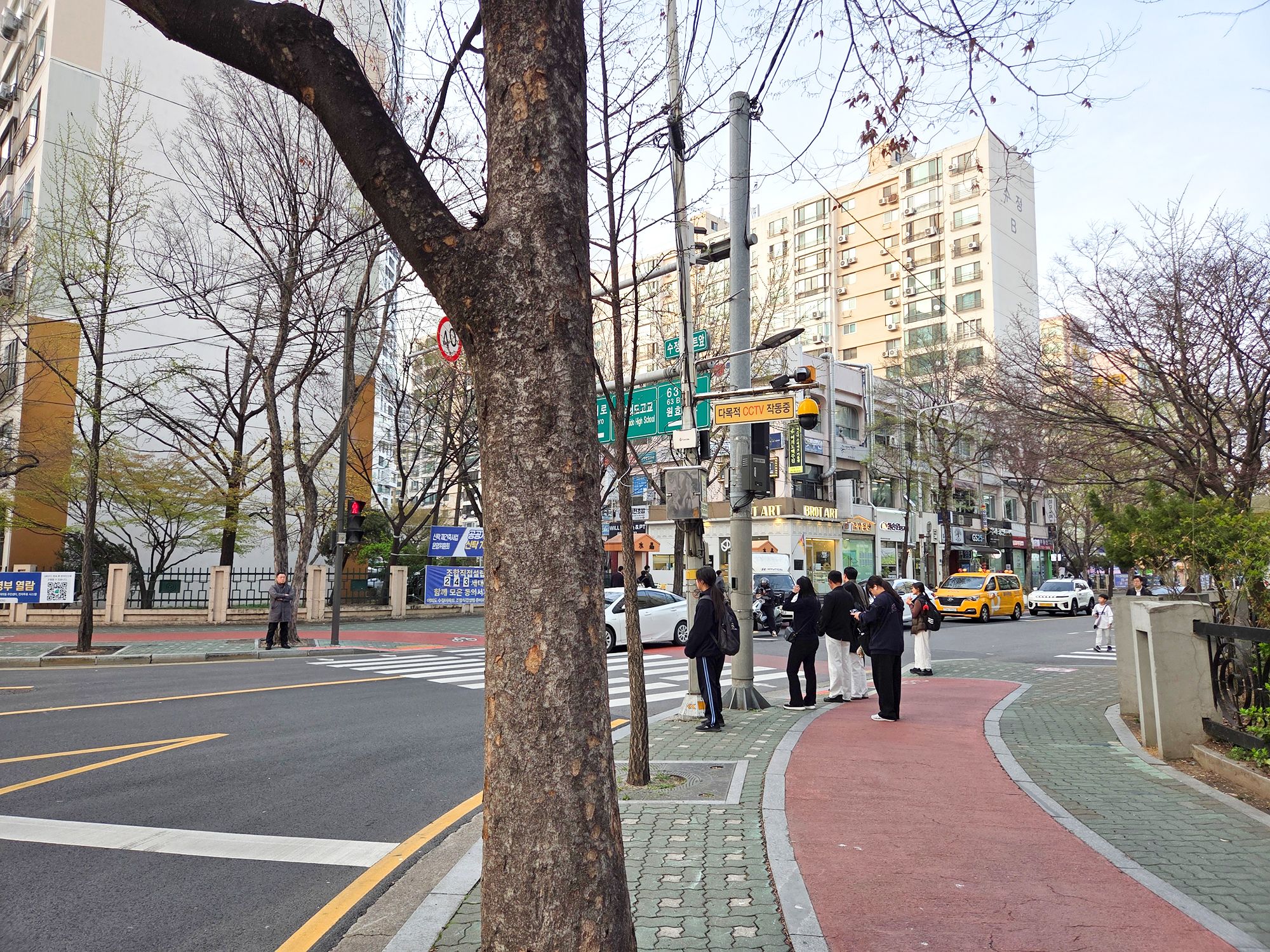Yeouido Cherry Blossoms (118) Yeouido Cherry Blossoms (118)