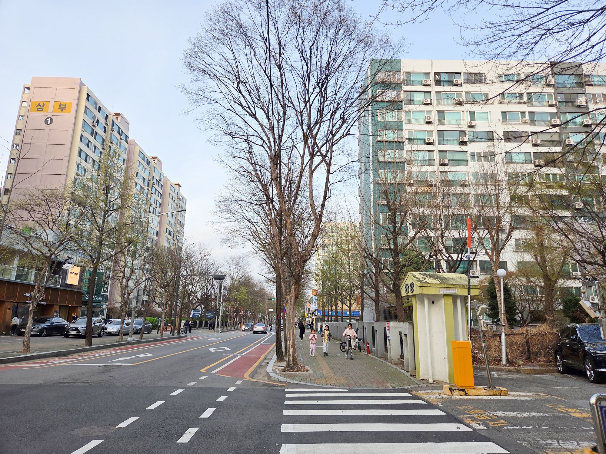 Yeouido Cherry Blossoms (120) Yeouido Cherry Blossoms (120)