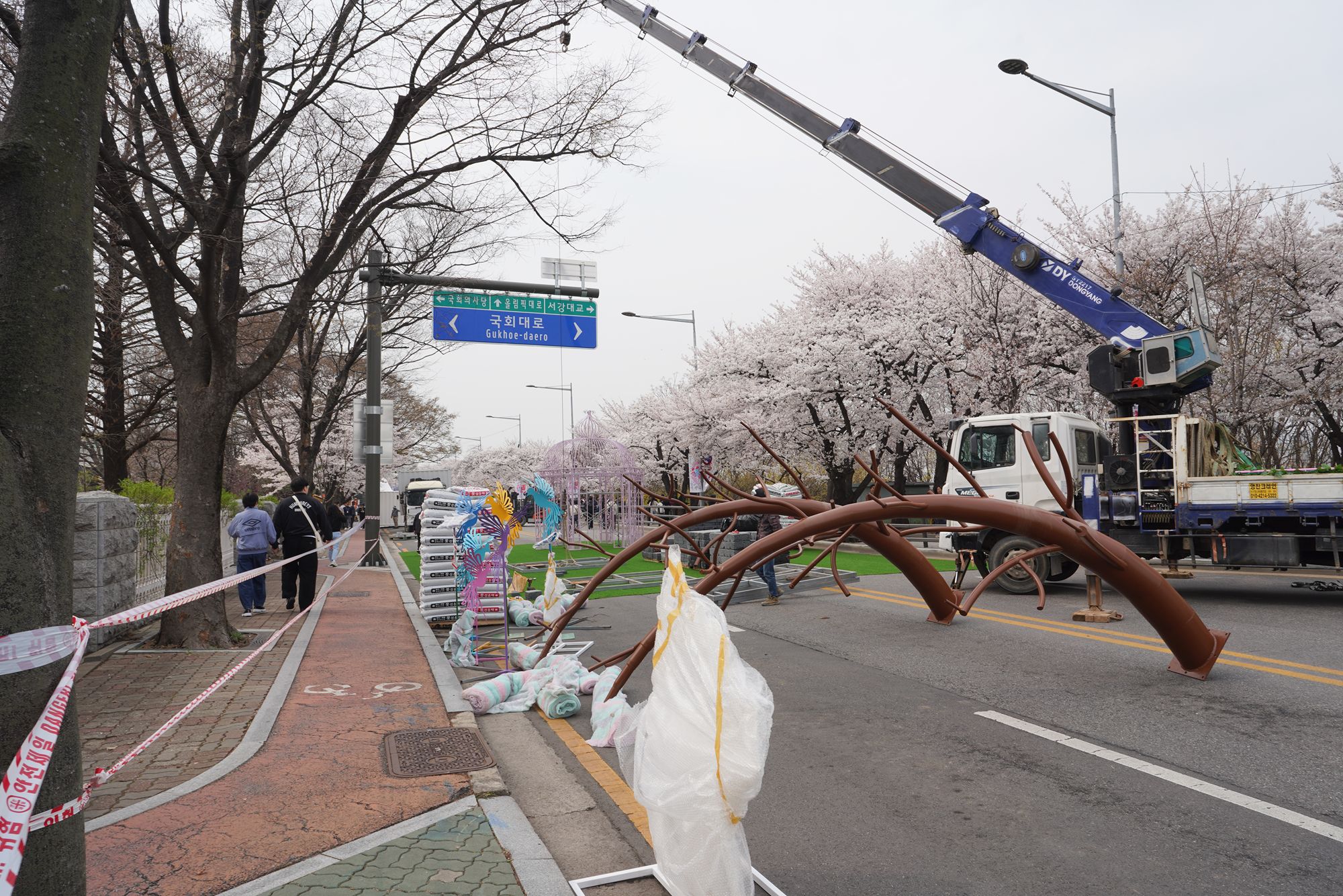 Yeouido Cherry Blossoms (9) Yeouido Cherry Blossoms (9)