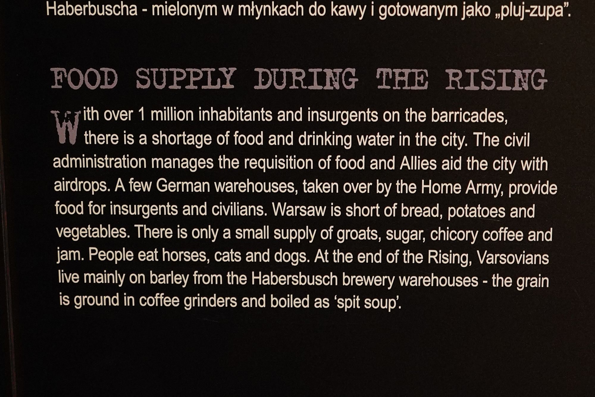 Warsaw Uprising Museum (100)