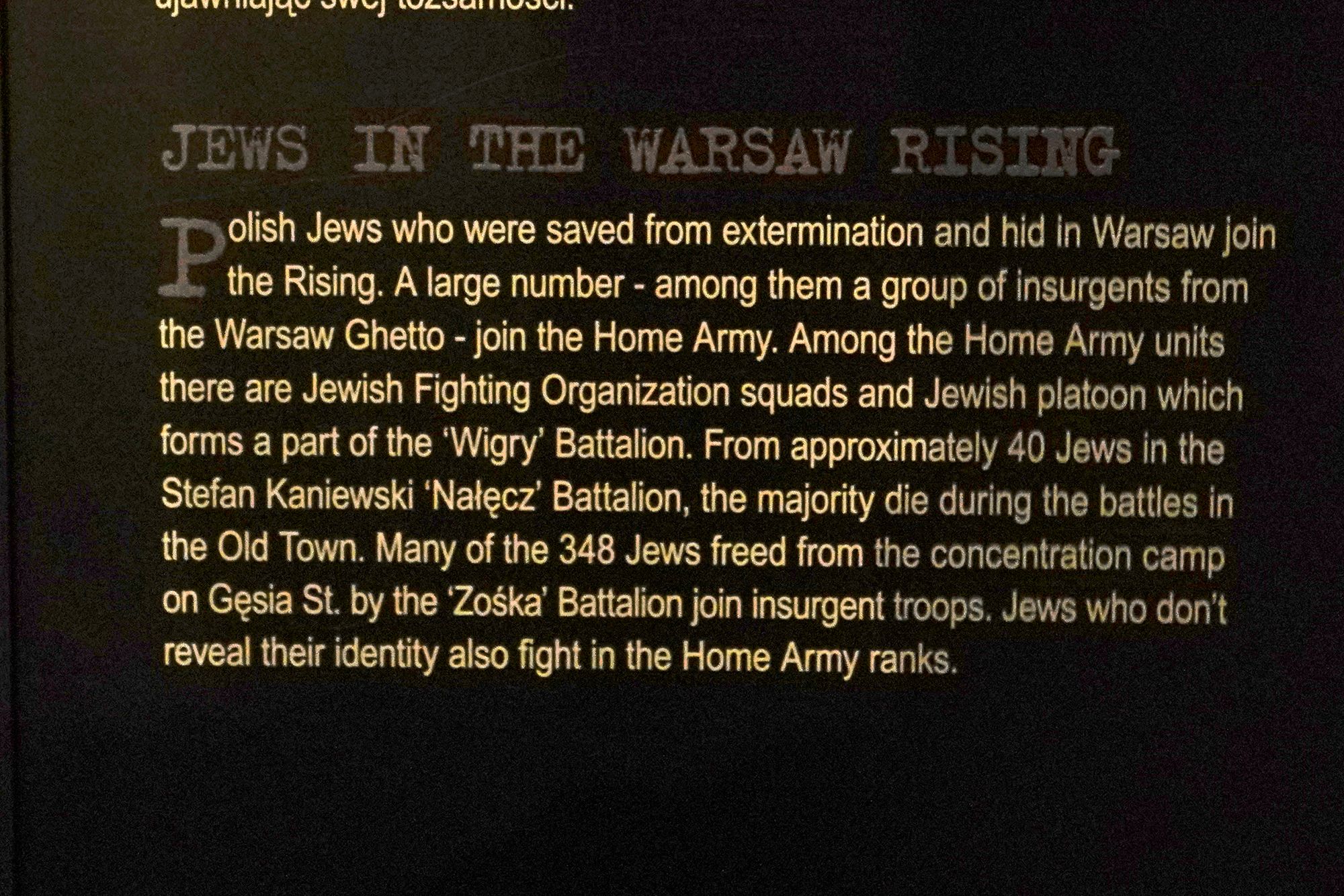 Warsaw Uprising Museum (90)