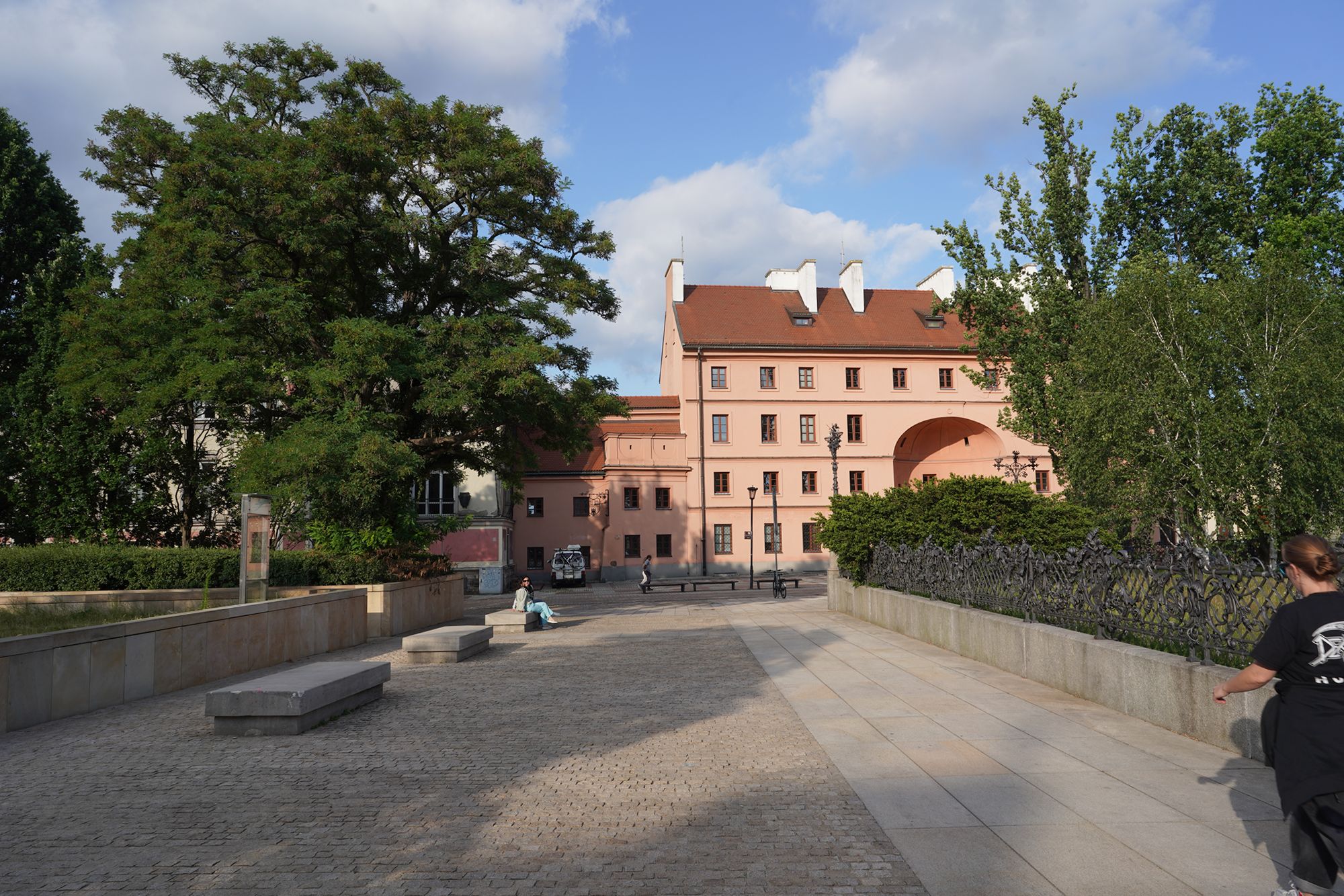 Warsaw Walk II (65)